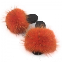 fluffy orange raccoon slides